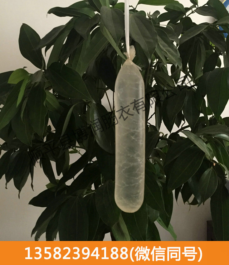 干制花季传媒下载app